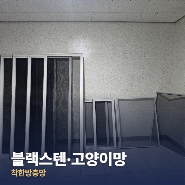 강남 블랙스텐·고양이망